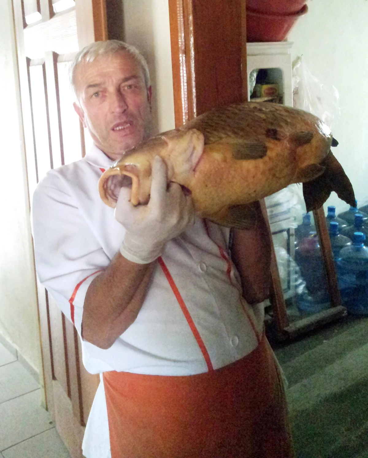 Amatör Balıkçı 20 Kilo Ağırlığında Balık Yakaladı