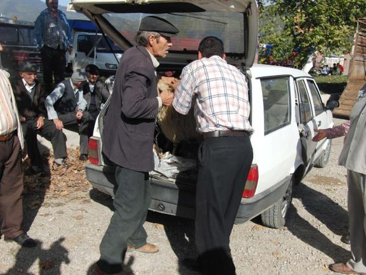 Bartın\'da Kurbanlıklar Satışa Çıktı