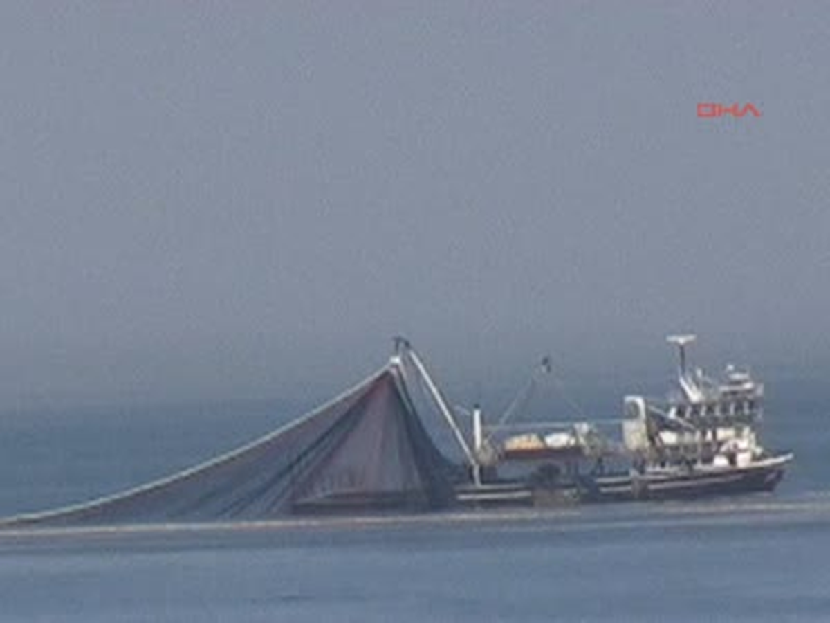 Bunun Adı Palamut Bayramı