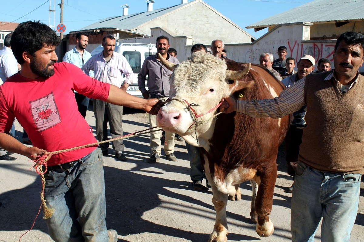 Erzurum\'da Kurban Bayramı Hareketliliği