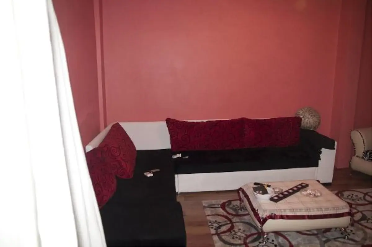 İstanbul\'da Rekor Miktarda "Bonzai" Ele Geçirildi