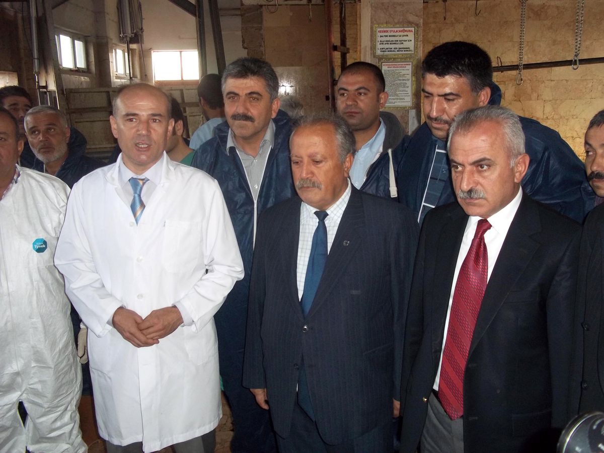Kırıkkale\'de Kasap Adaylarına Kurban Kesimi Kursu Verildi
