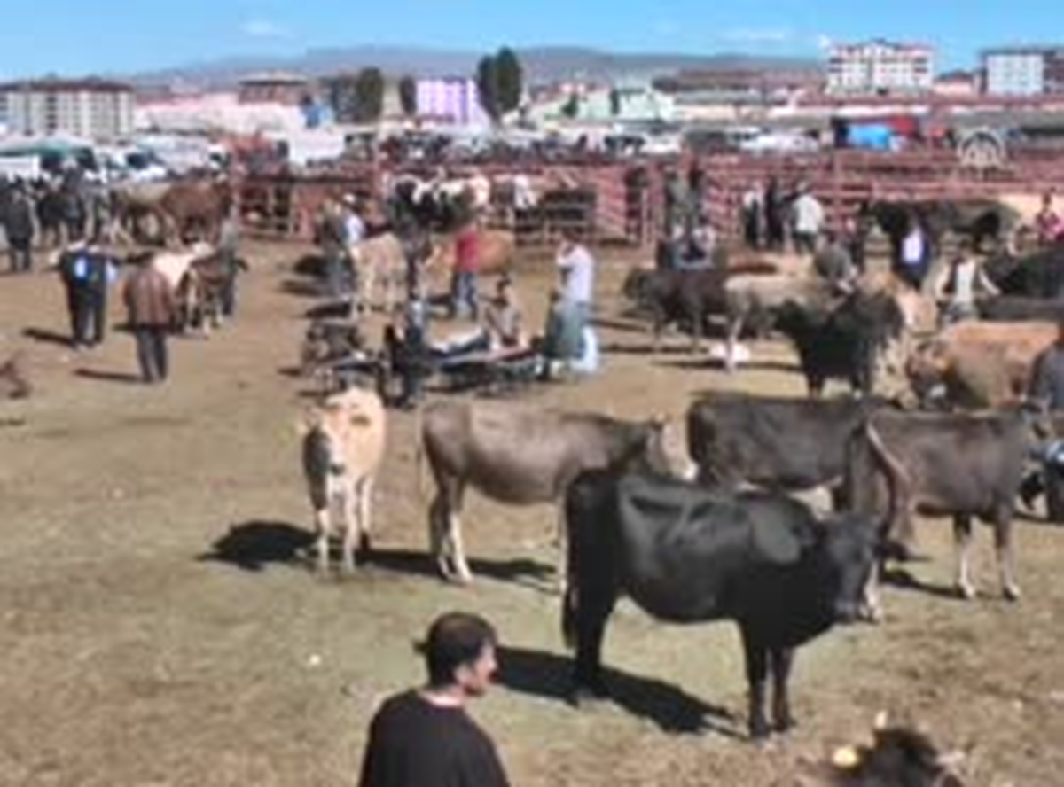 Kurban Bayramı Hareketliliği