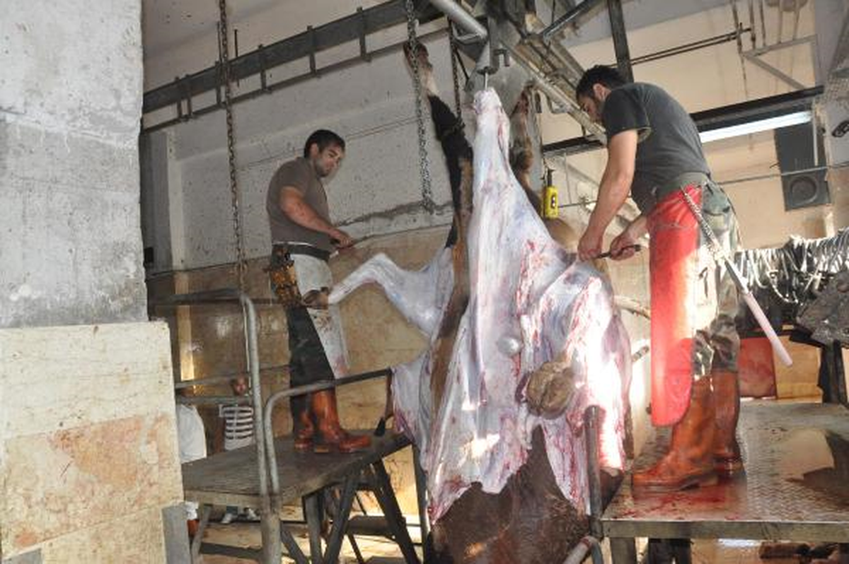 Kurban Keseceklere Uygulamalı Eğitim