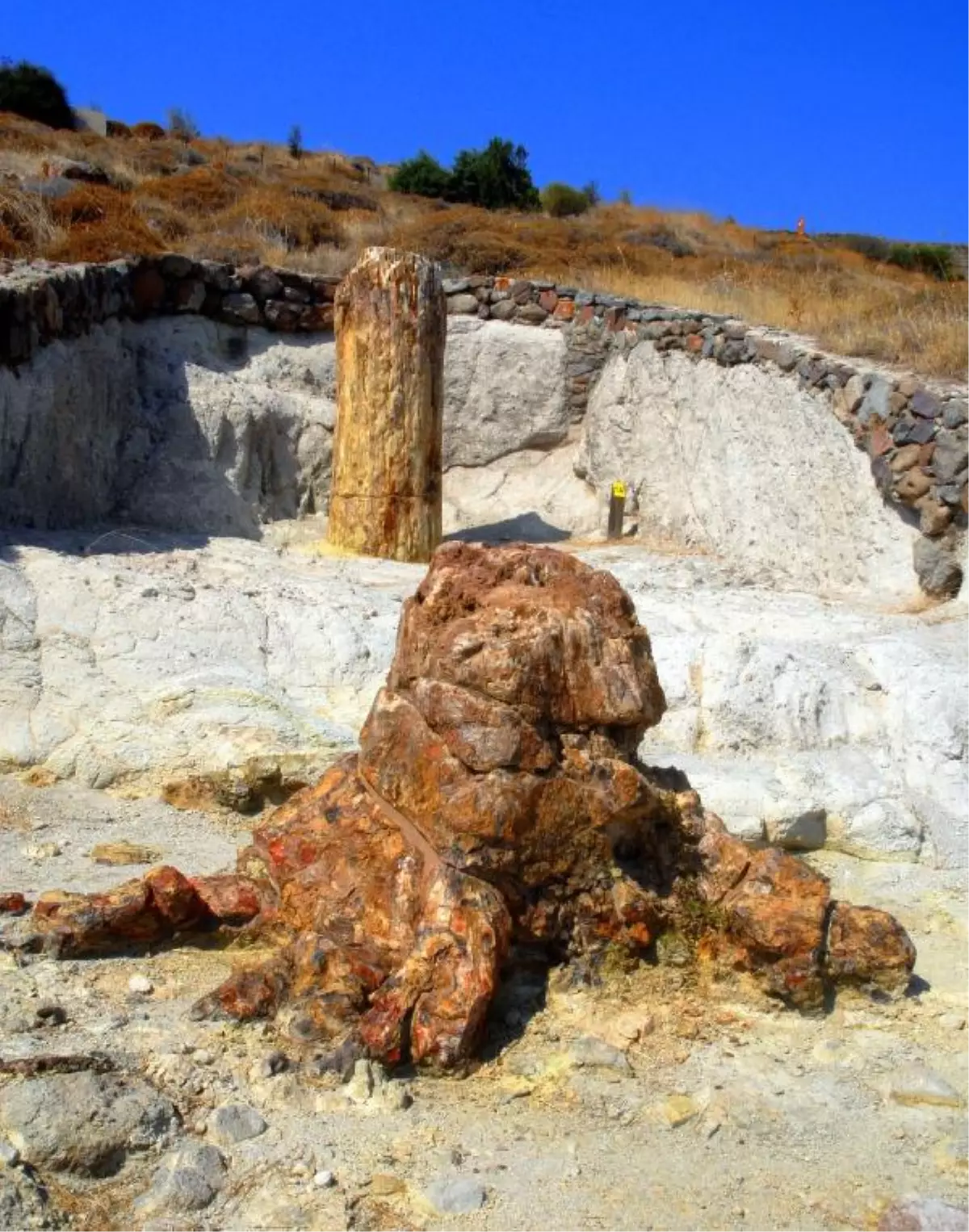 Midilli\'deki Taşlaşmış Orman Parkı, Türk Turistleri Bekliyor