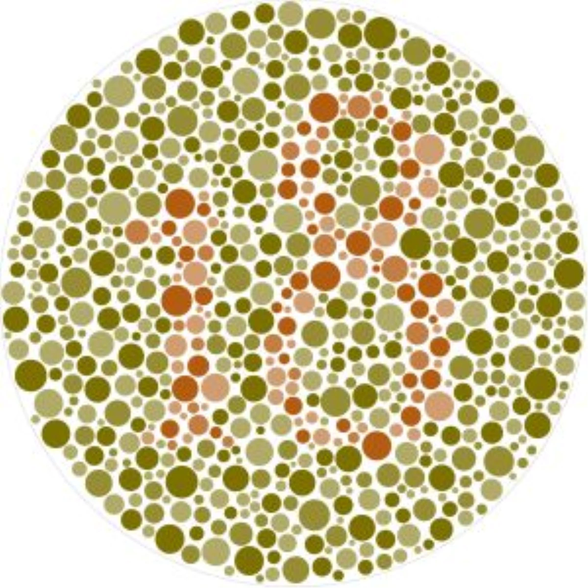 Renk Körlüğü Nedir? Kimlerde Görülür?