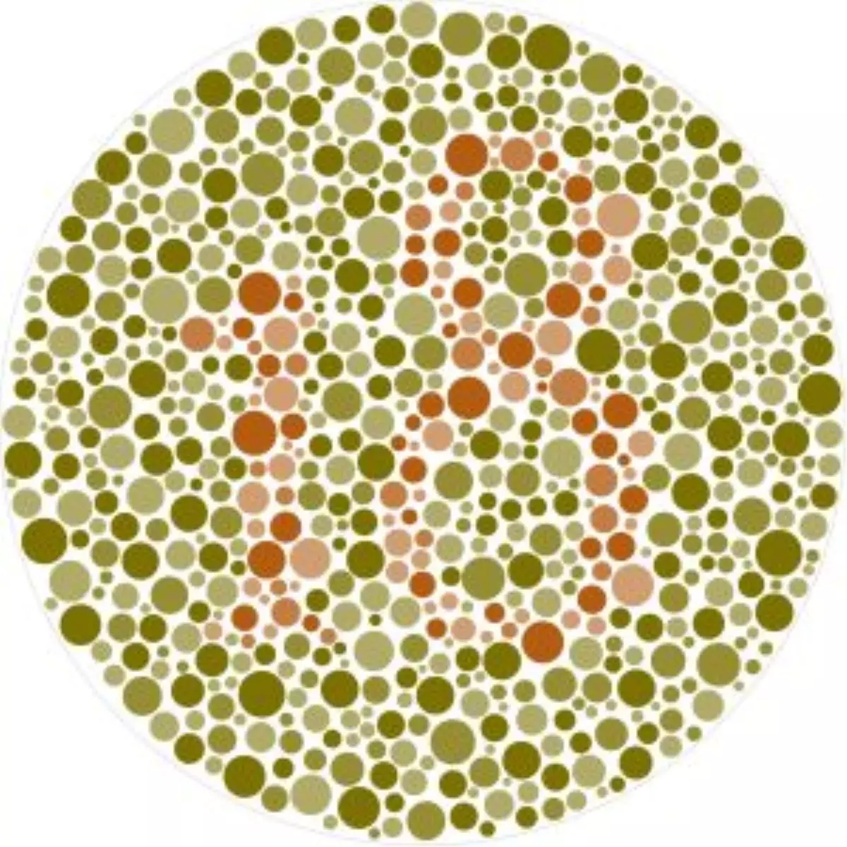 Renk Körlüğü Nedir? Kimlerde Görülür?