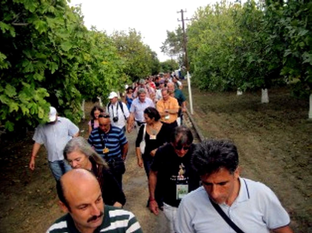 30 Ülkeden 114 Araştırmacı Aydın\'da İlk Kez İncirle Tanıştı