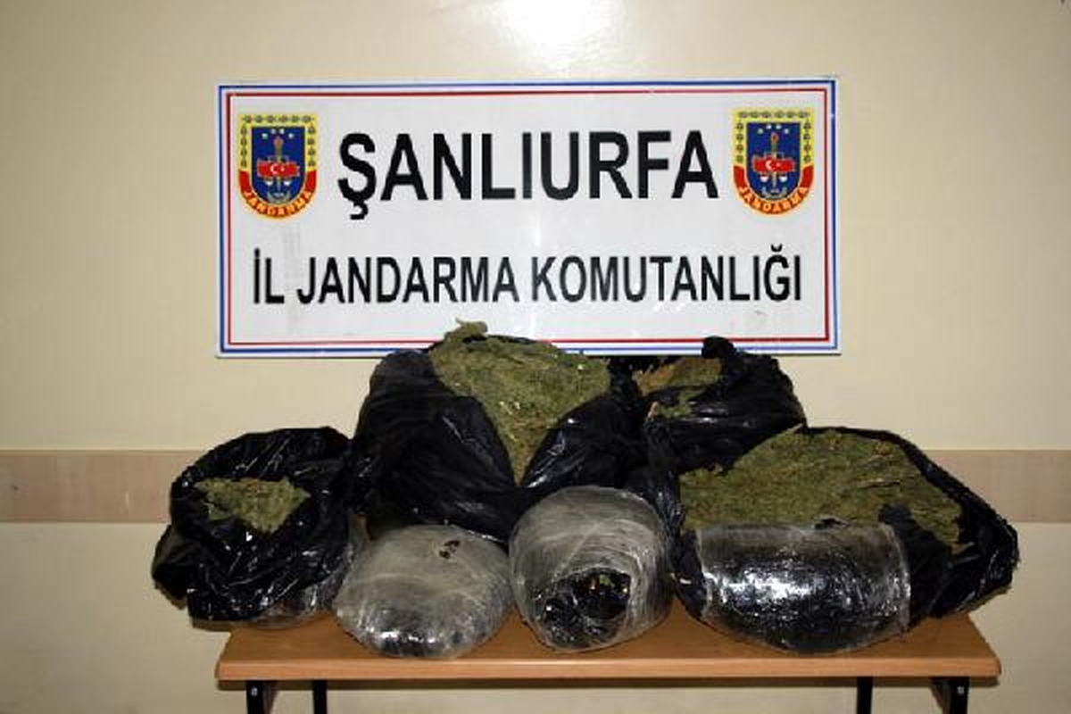 Akçakale\'de 39 Kilo Esrar Ele Geçirildi