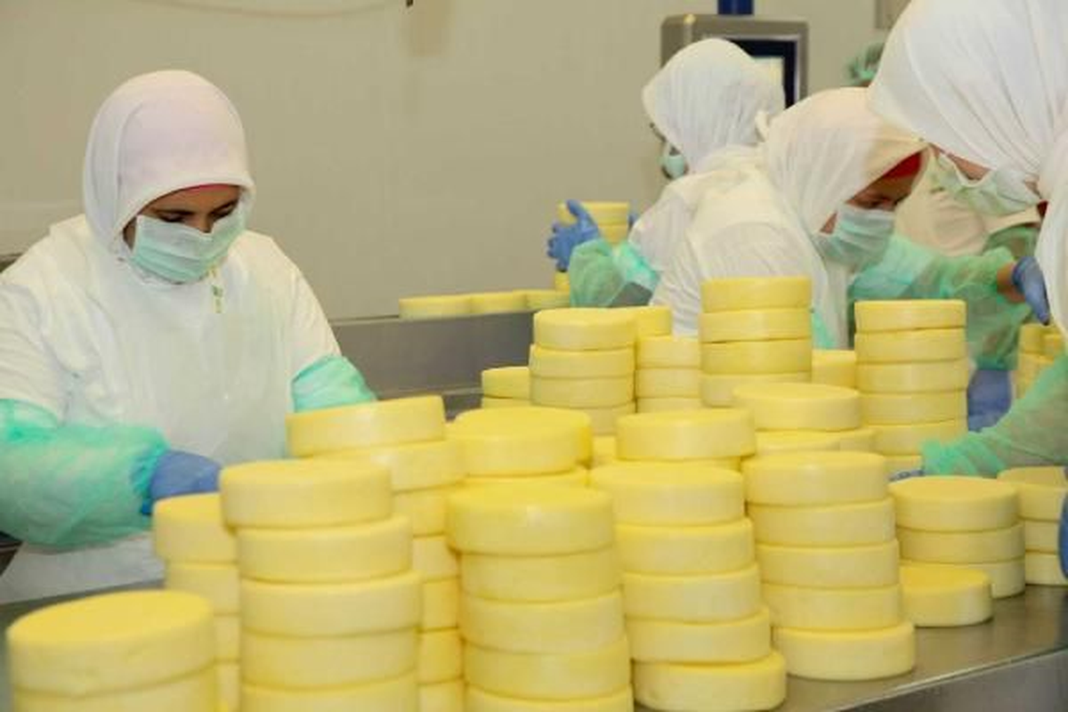 Bazı Peynir Türlerine Hayvan İç Yağı Katıldığı İddiaları