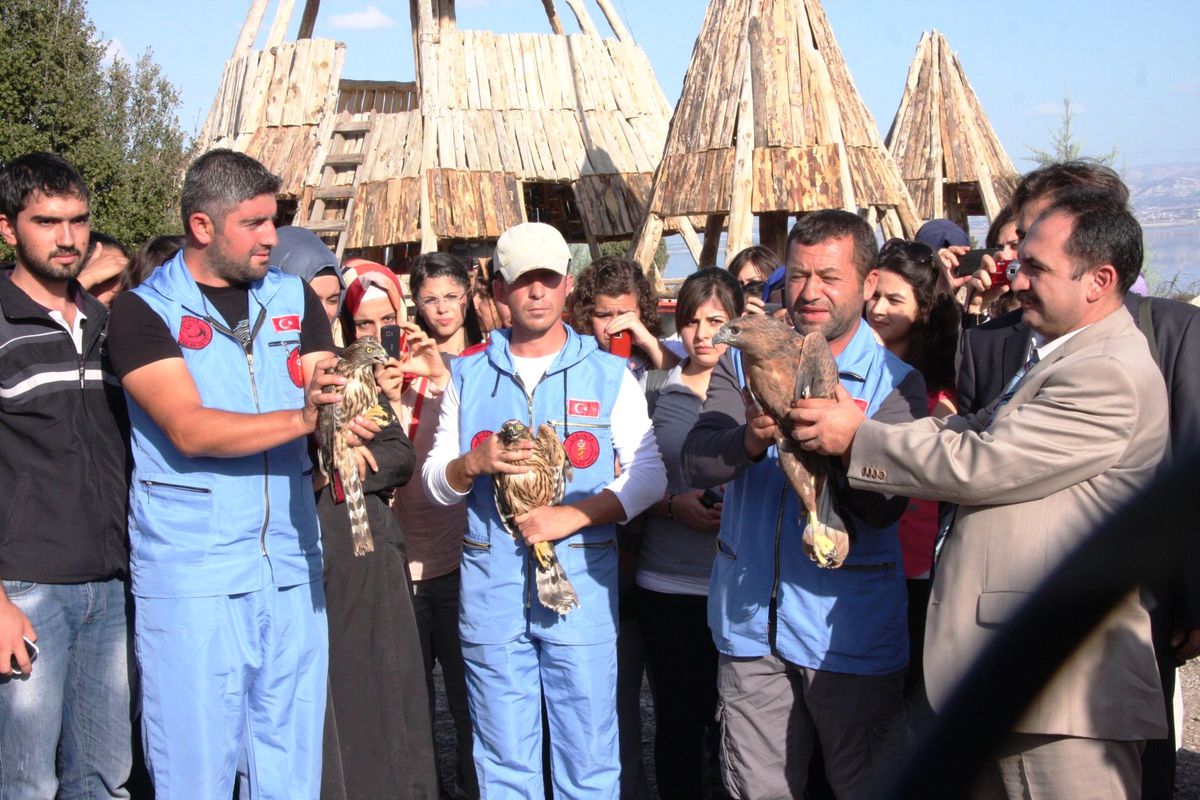Burdur\'da Tedavi Edilen Kuşlar, Doğaya Bırakıldı