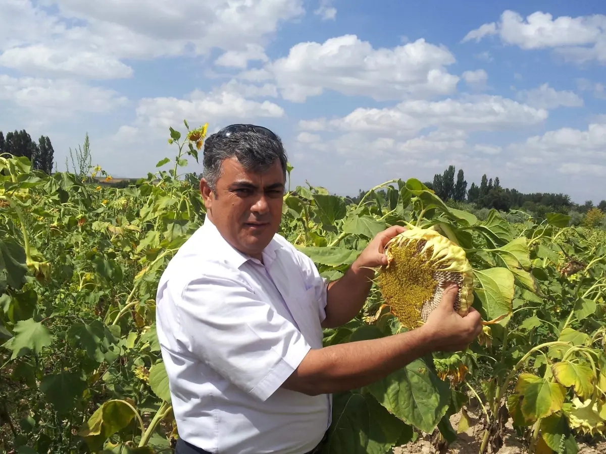Bursa Ticaret Borsası