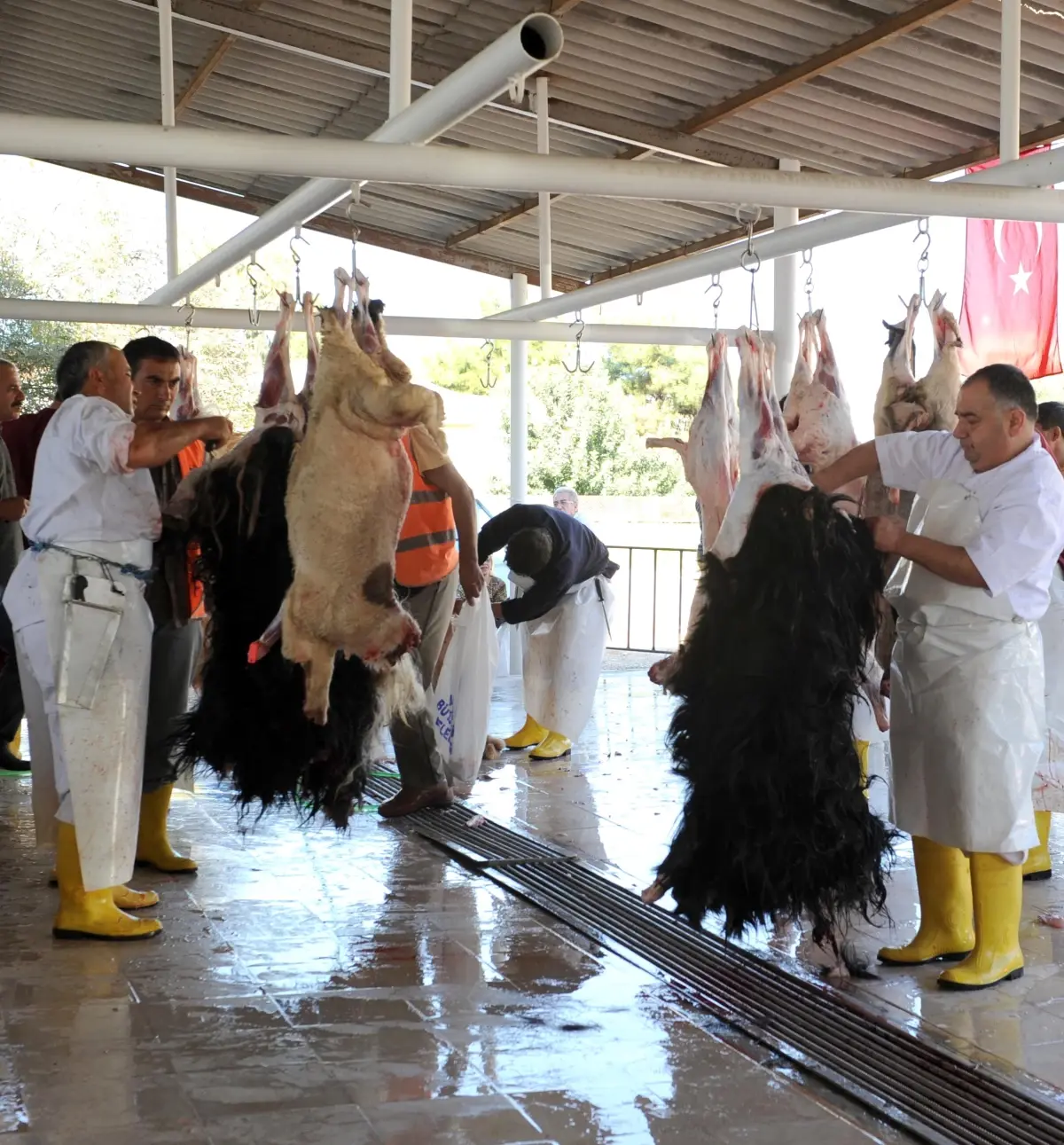 Büyükşehir Bayrama Hazır