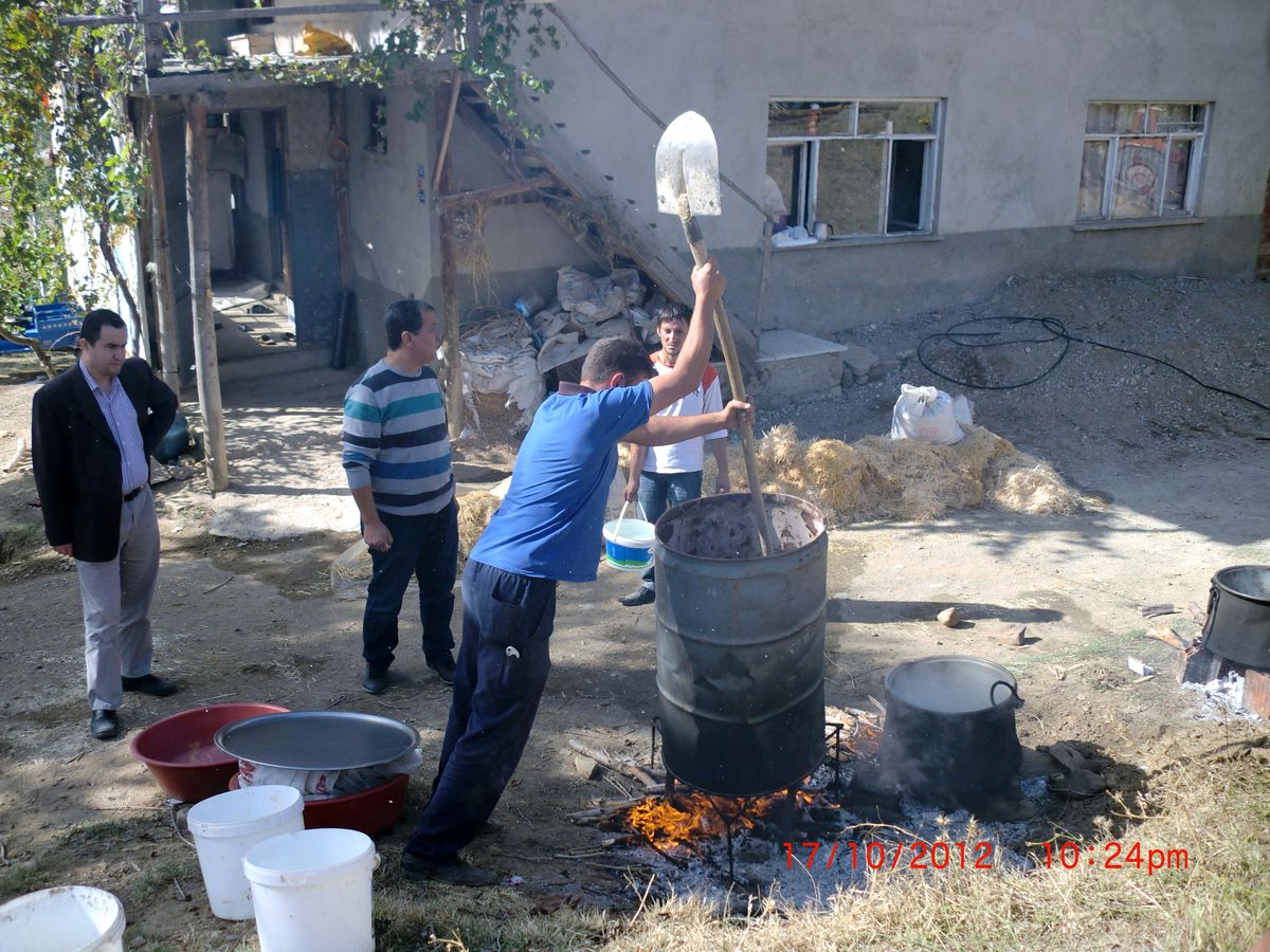 Çiftçilere Kayın Mantarı Yetiştiriciliği Eğitimi