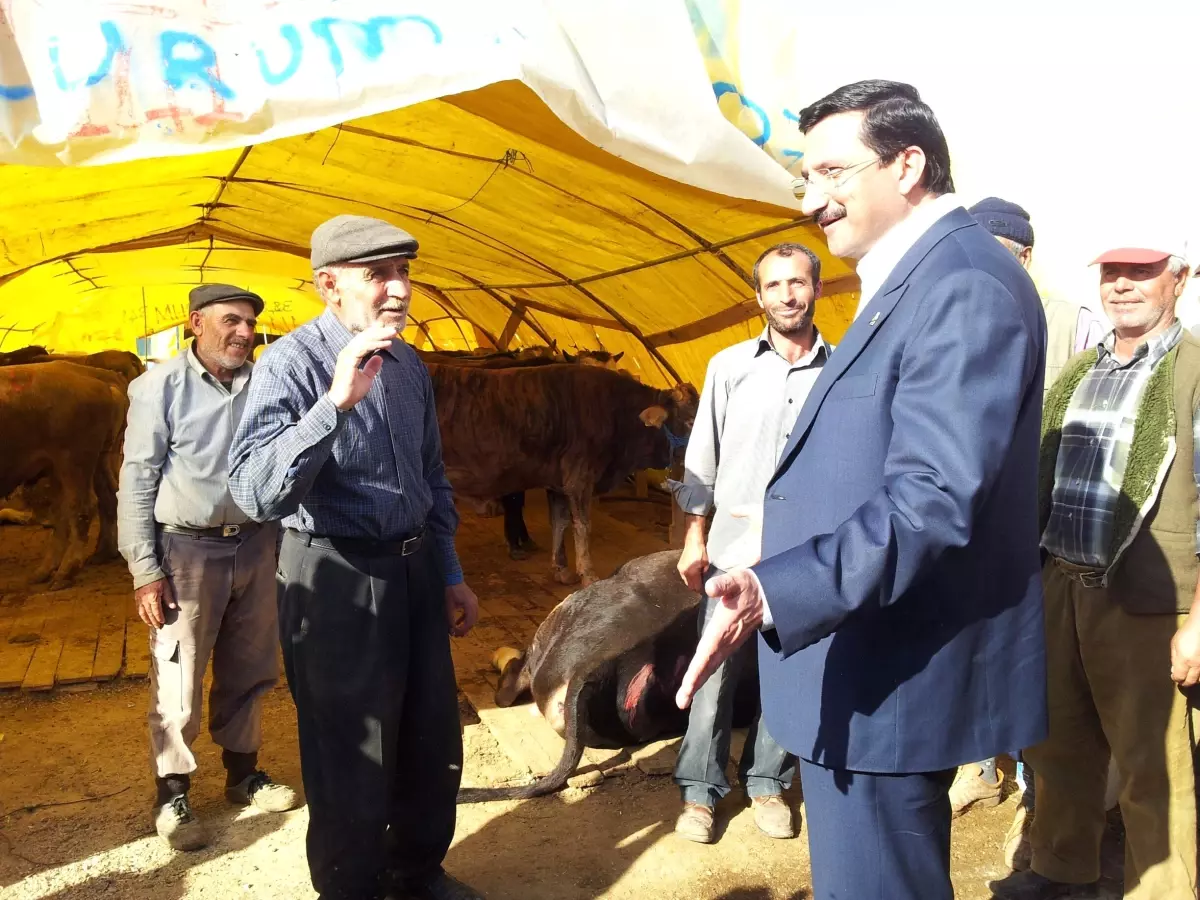 Keçiören Belediye Başkanı Ak, Ovacık Kurban Alanında İncelemelerde Bulundu