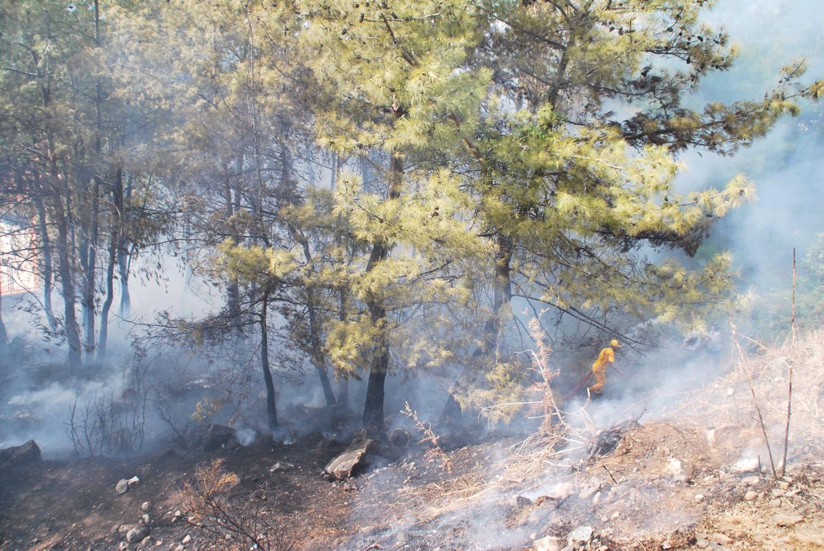 Marmaris\'te Facia Kıl Payı Atlatıldı