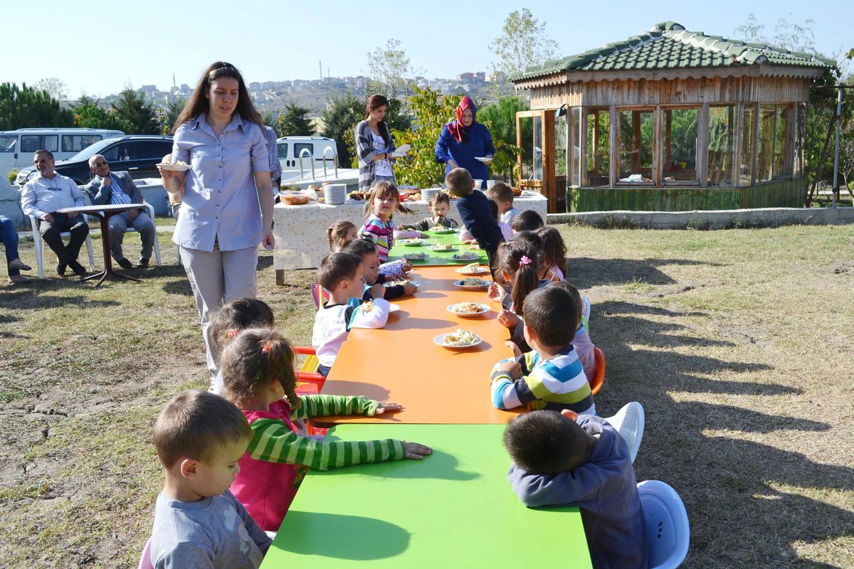 Önce Süt Sağdılar Sonra Piknik Yaptılar