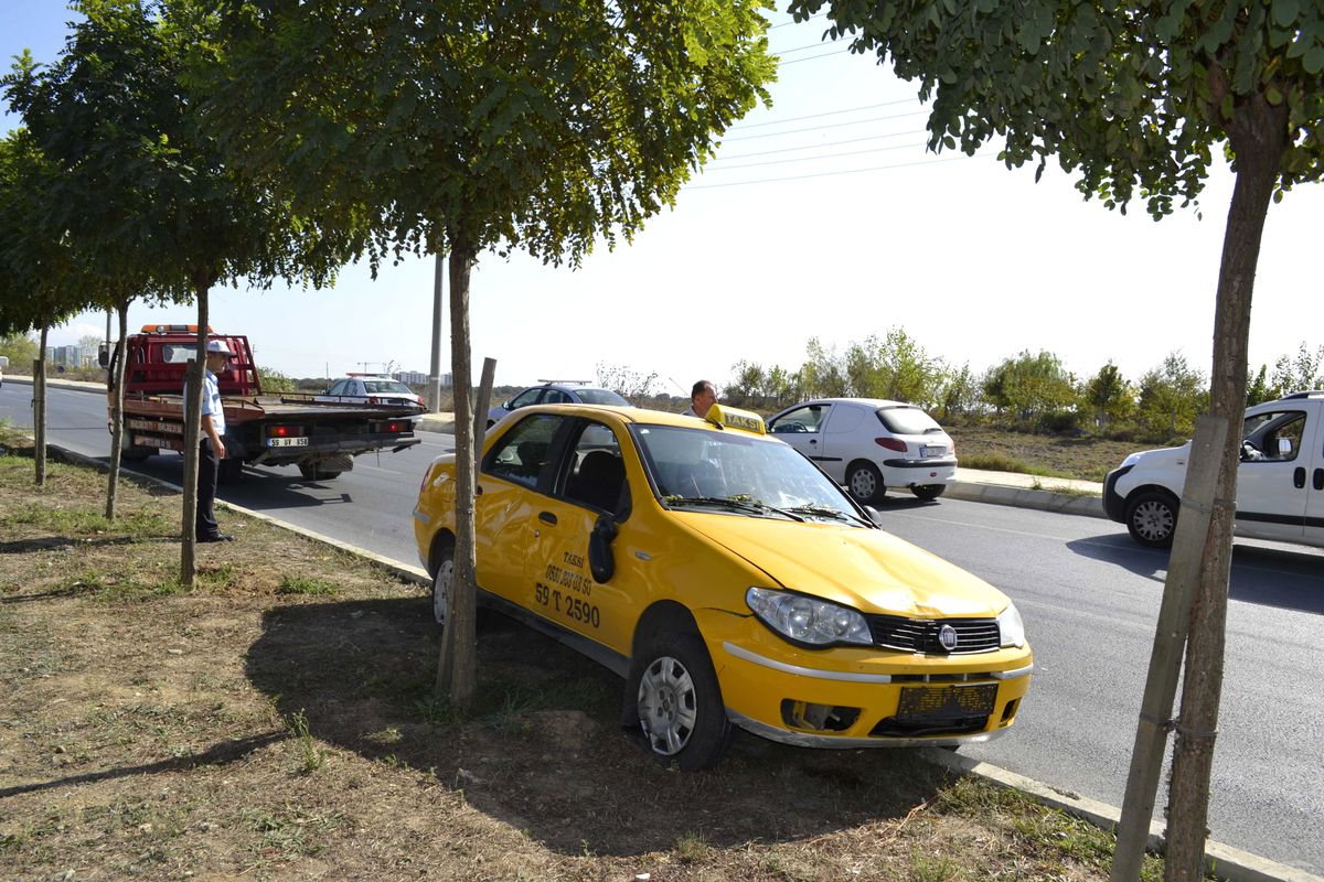Refüje Çıktı, Ağaçları Devirdikten Sonra Ters Yöne Girdi: 1 Yaralı