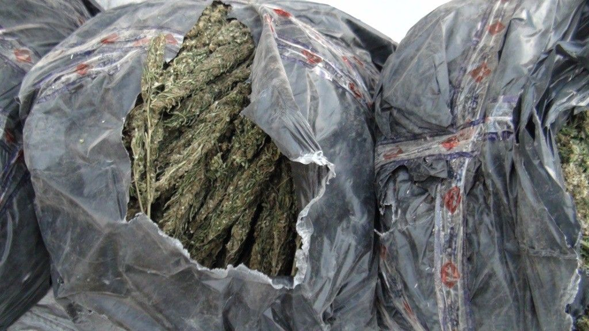 Samsun\'da 7 Kilo Esrar Ele Geçirildi