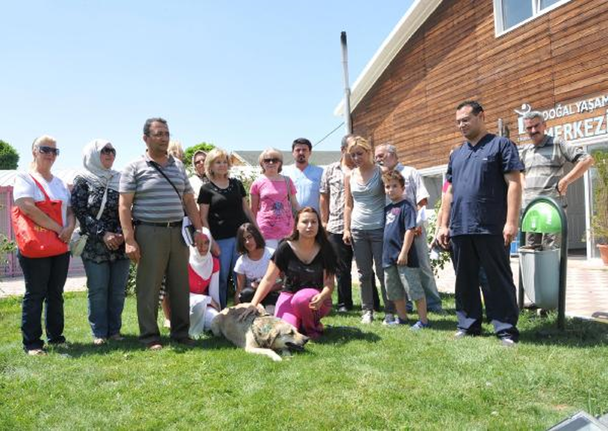 Tabancayla Köpek Yaralayan Avukat 210 Kişiye Hakaretten Suç Duyurusunda Bulundu