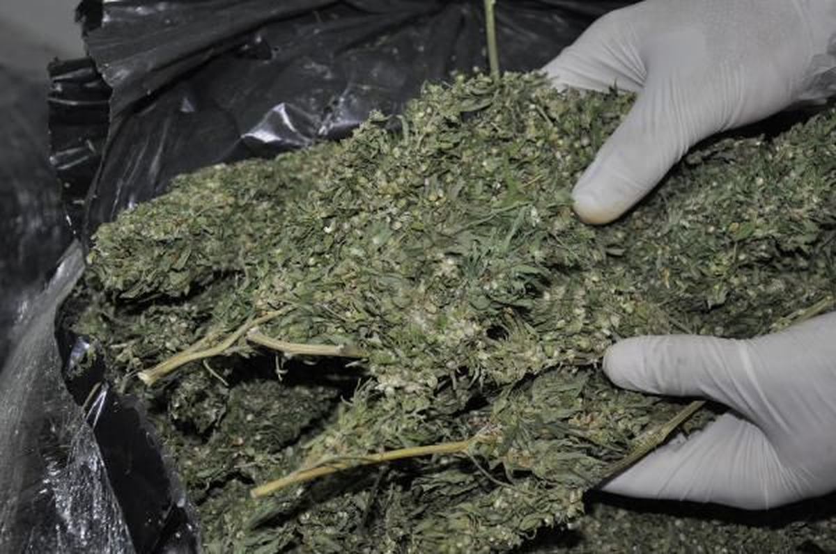 Tavşanlı\'da 1,6 Kilogram Esrar Ele Geçirildi