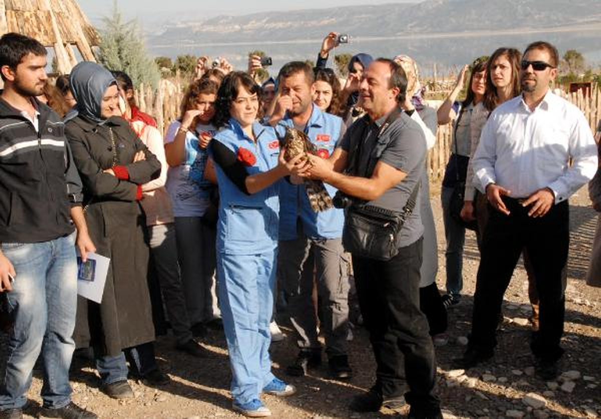 Tedavi Ettiği Yaban Kuşlarını \'Dünya Barışı\' İçin Doğaya Bıraktı