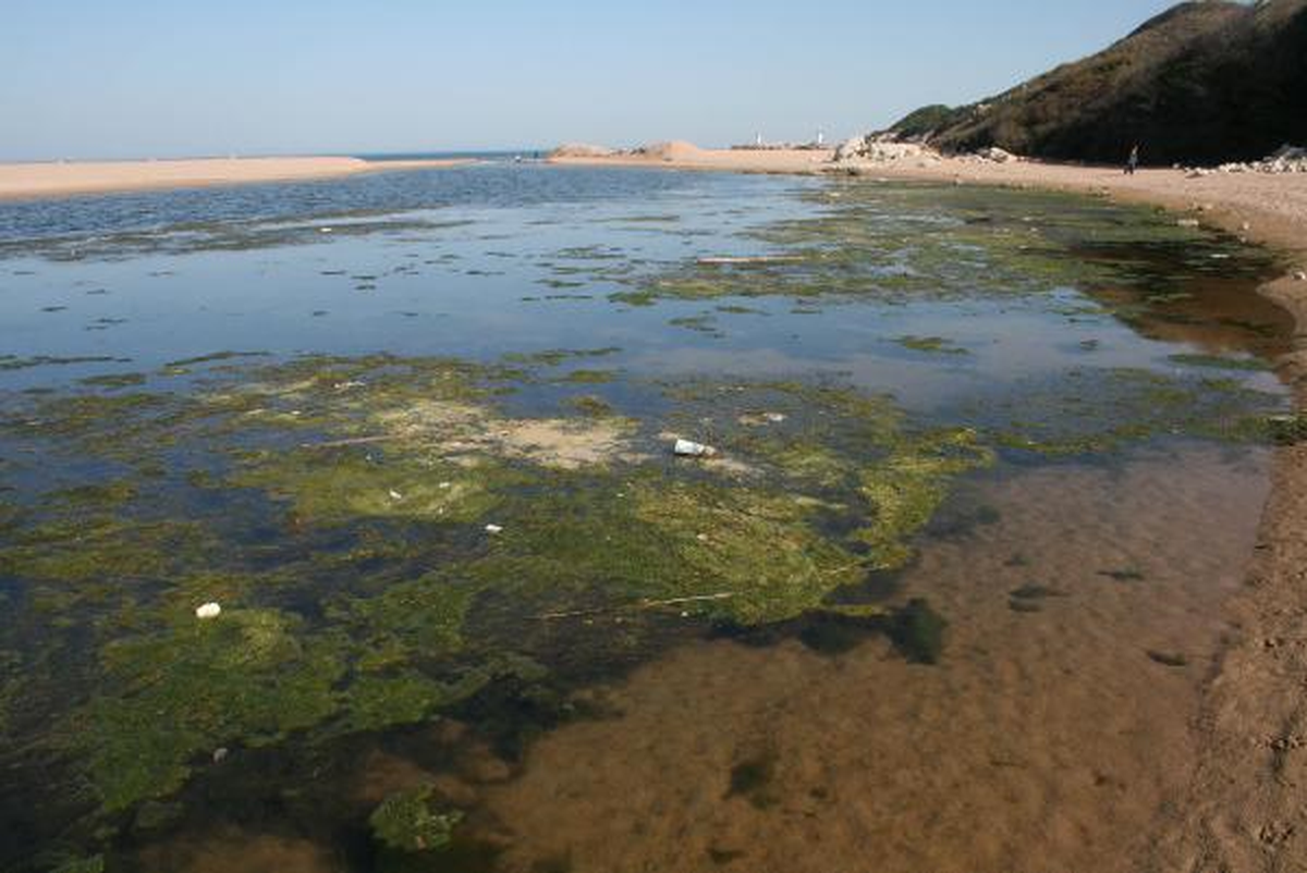 Ağva'daki Göksu Deresi'nde Kirlilik