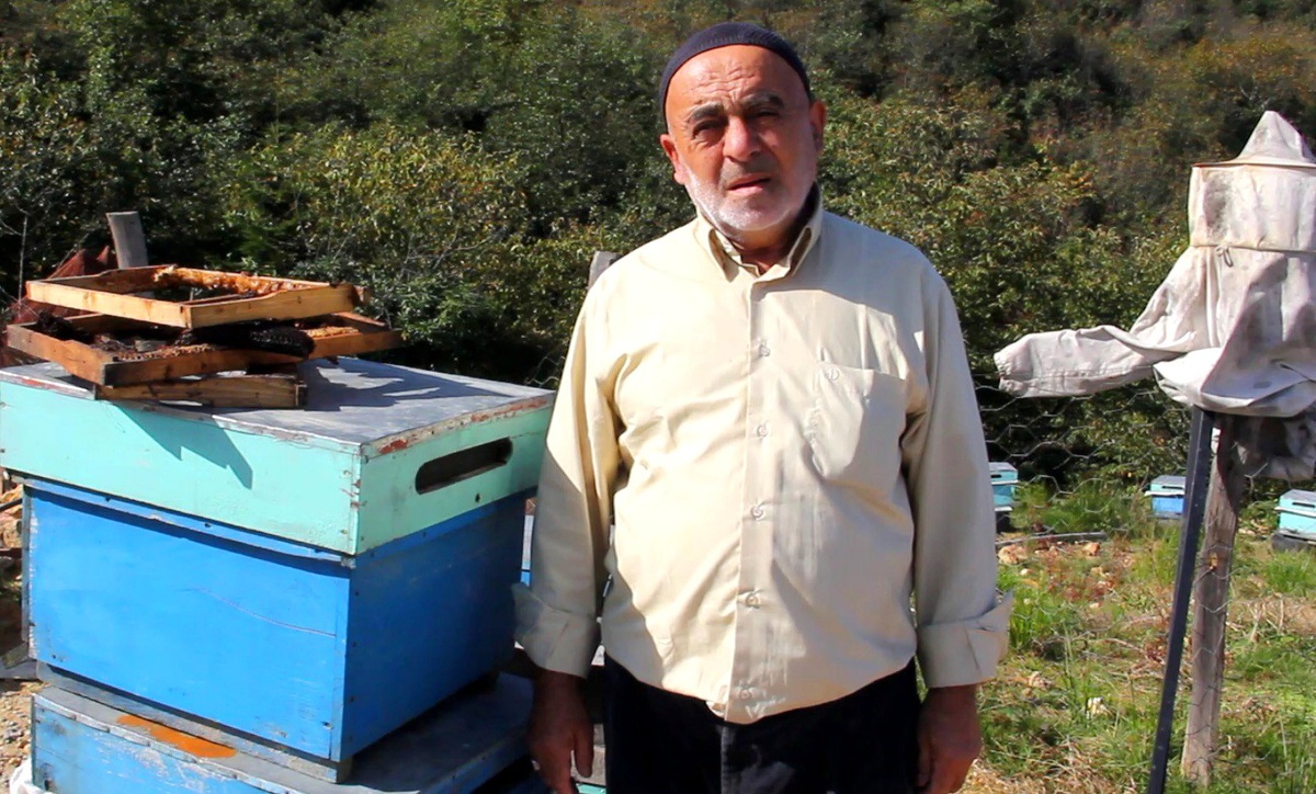 Ayılar, Arıcıların Korkulu Rüyası