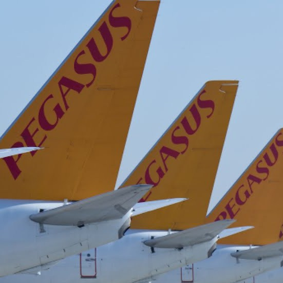 Pegasus Havayolları Yer Hizmetleri Şirketi Kuruyor