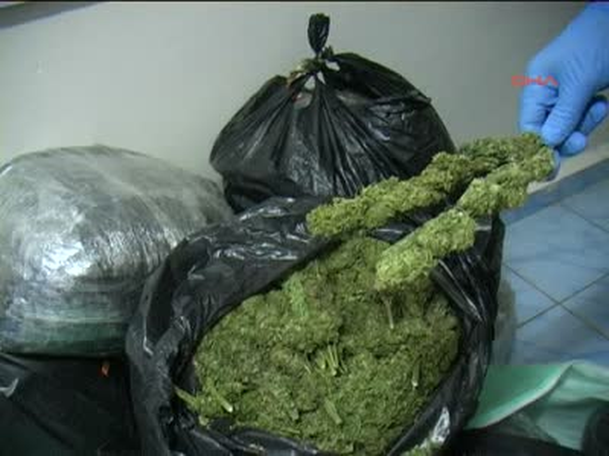 Şanlıurfa Yolcu Minibüsünde 55 Kilo Esrar Bulundu