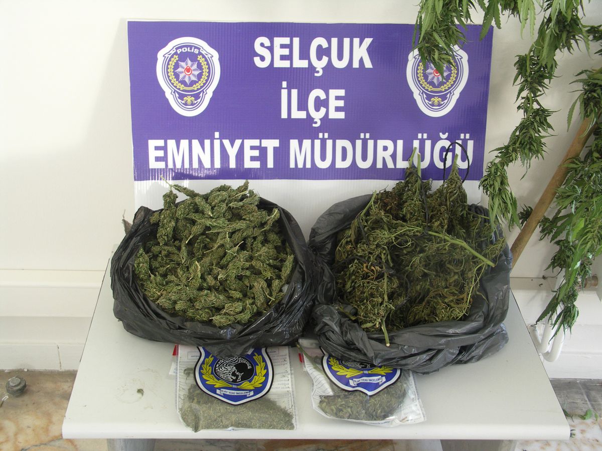Selçuk\'ta Esrar Operasyonu