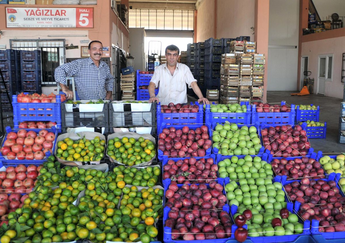Turgutlu Elmaya Doyacak