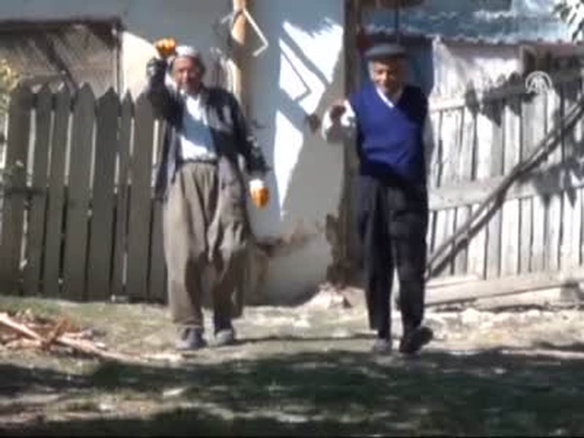 90 Yaşında Ağaca Tırmanıyor