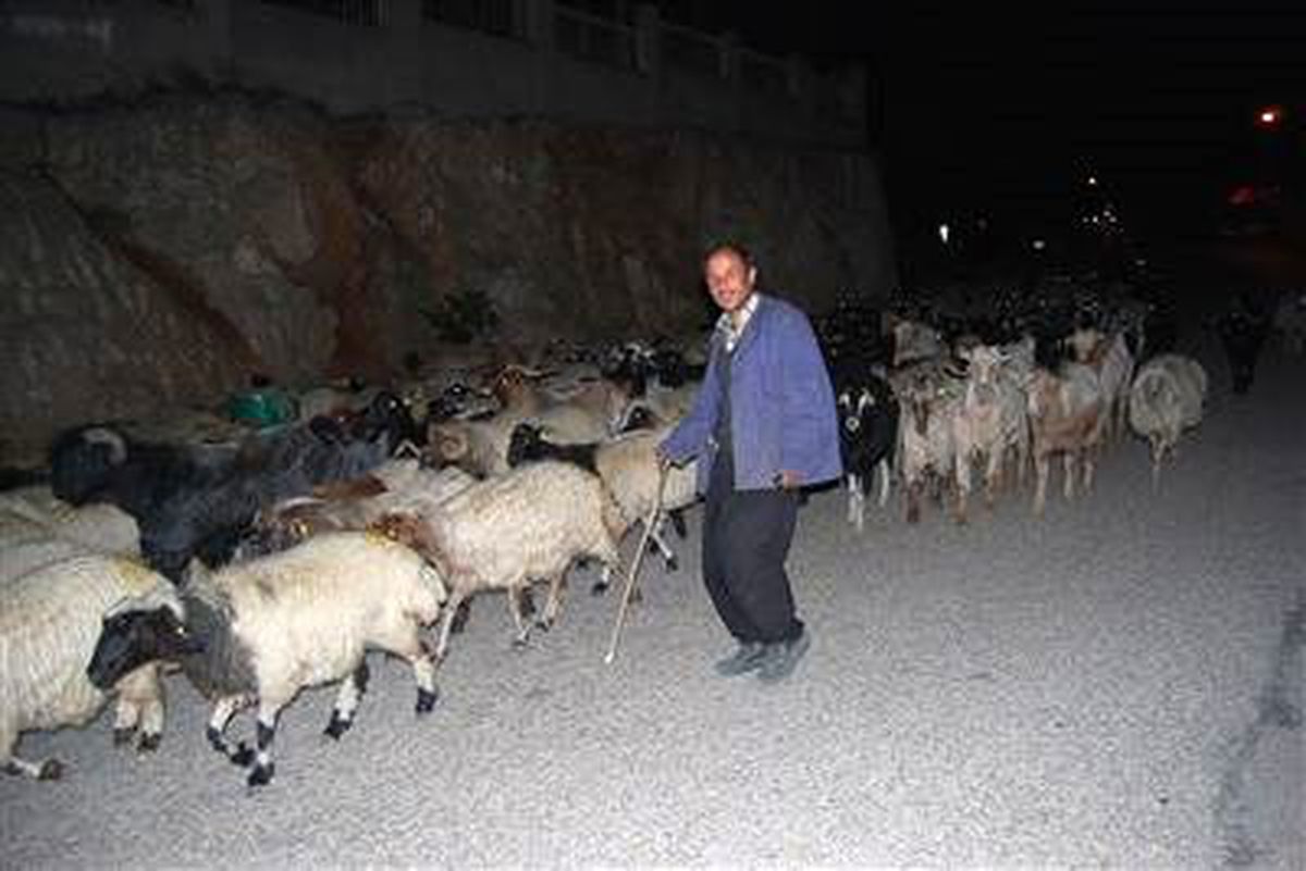 Adana\'da Yaylalardan Göç Başladı