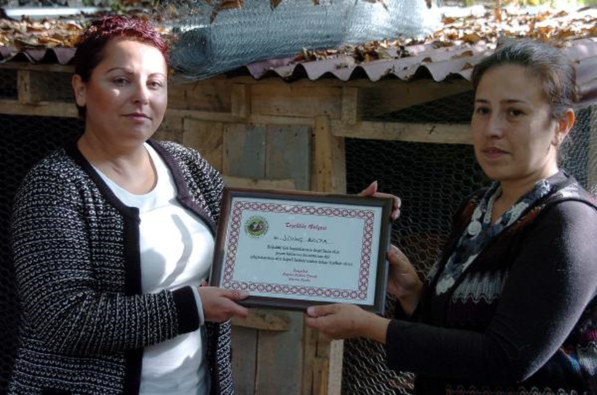 Evini Kedi ve Köpeklere Açan Hayvansevere Teşekkür Belgesi