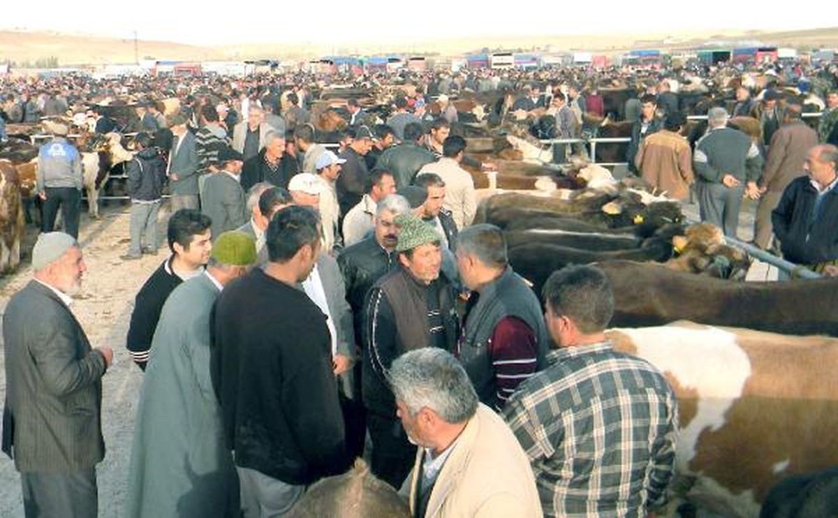 Kurban Pazarı\'nda Sahte Paraya Cihazlı Önlem