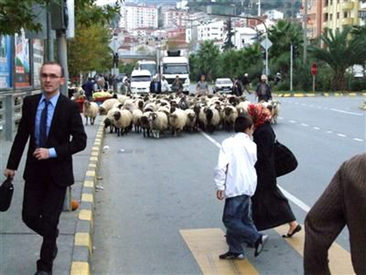 Trabzon\'da Yaylalardan Göçler Başladı