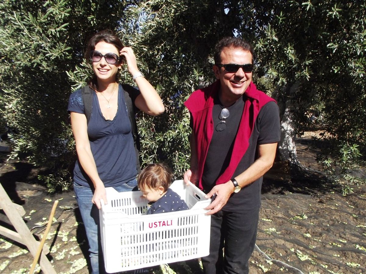Ünlüler Ayvalık\'ta Zeytin Hasadı Yaptı