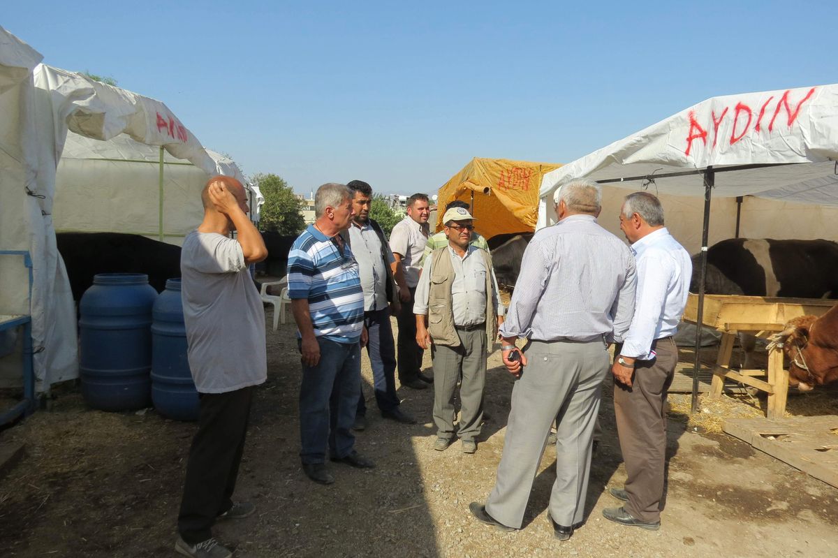Çineli Yetkililer İzmir Kurban Pazarını Gezdi