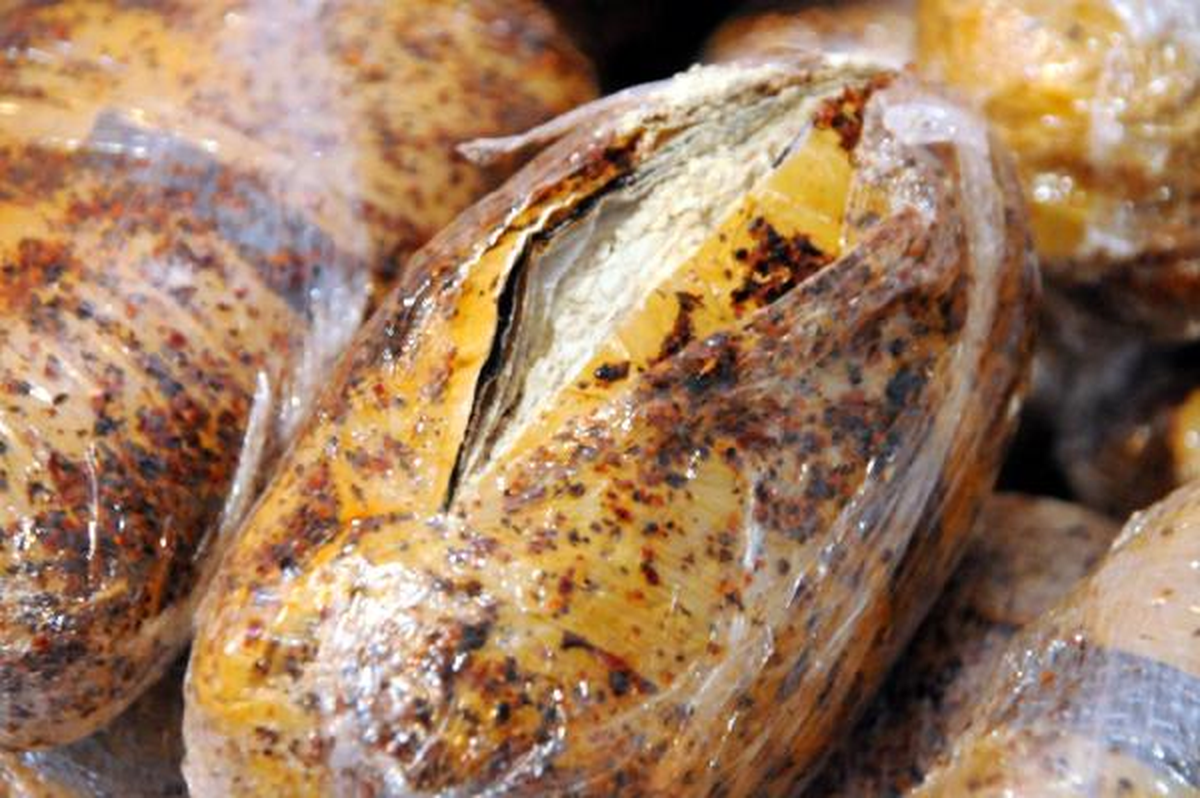 Eroine İsotlu Kamuflaja Polisten Geçit Yok