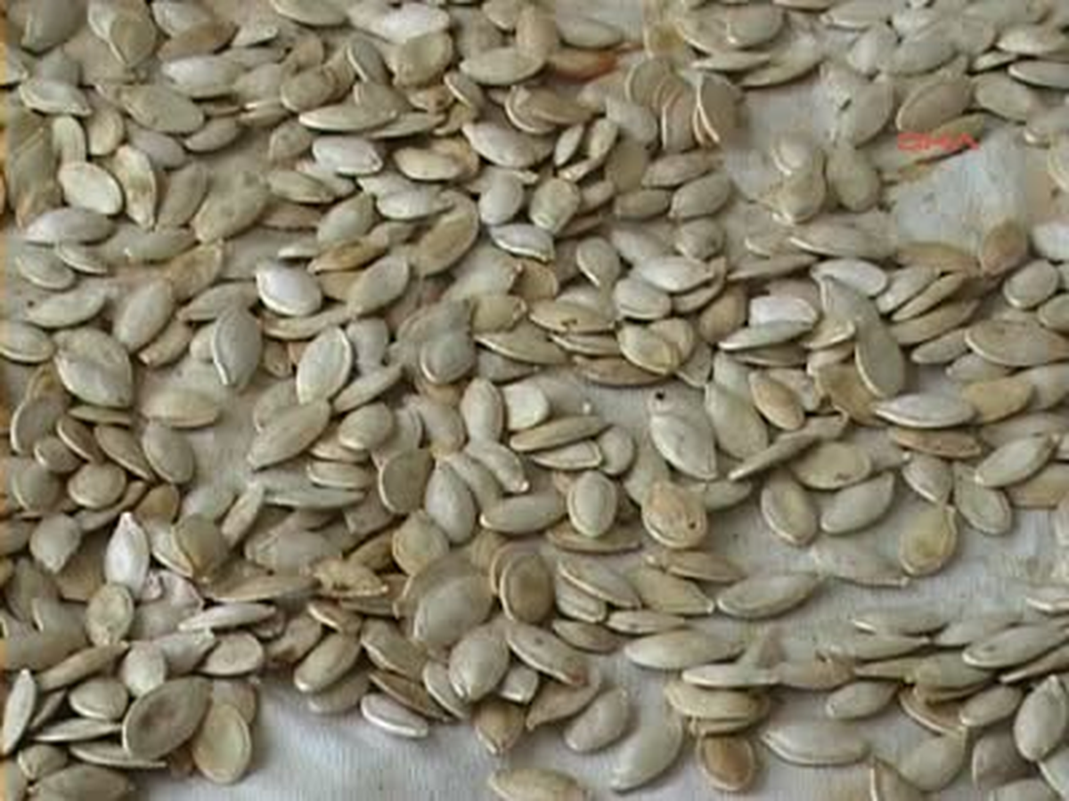 Çiftçiye Alternatif Ürün: Çerezlik Kabak