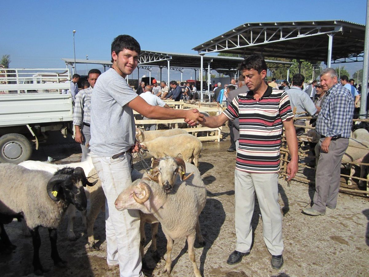 Ödemiş\'te Kurbanlık Fiyatları Artmadı