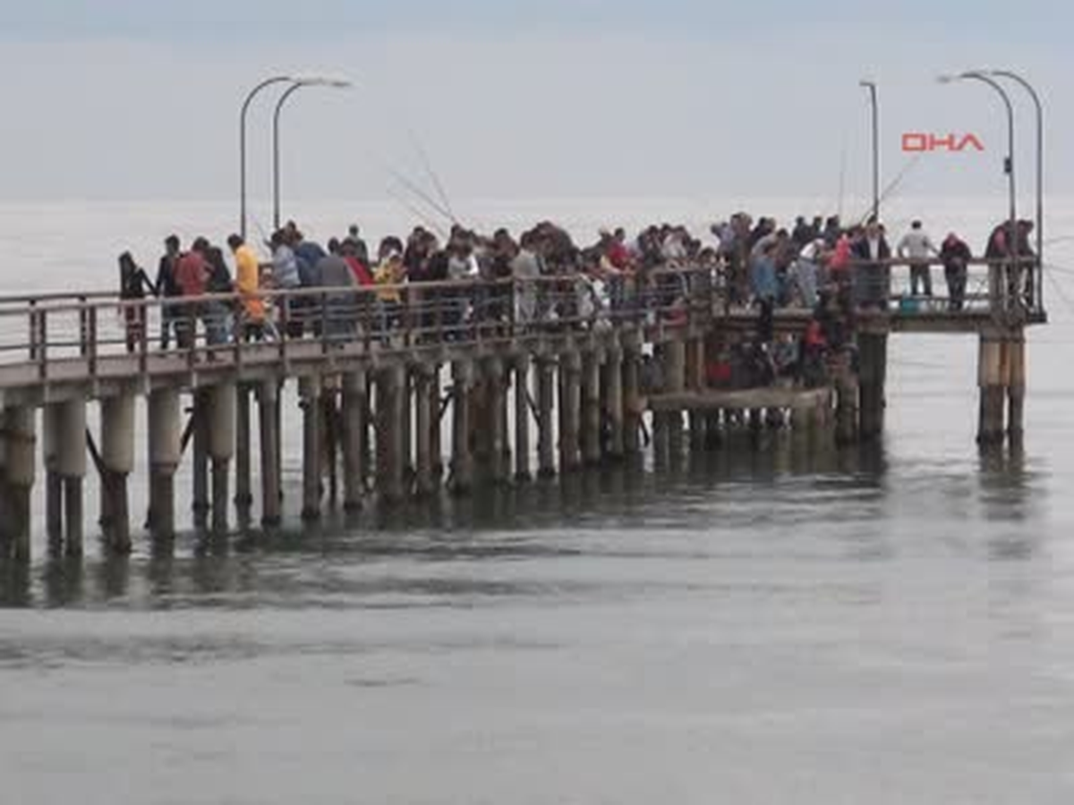 Samsun İskelede Balık Avı