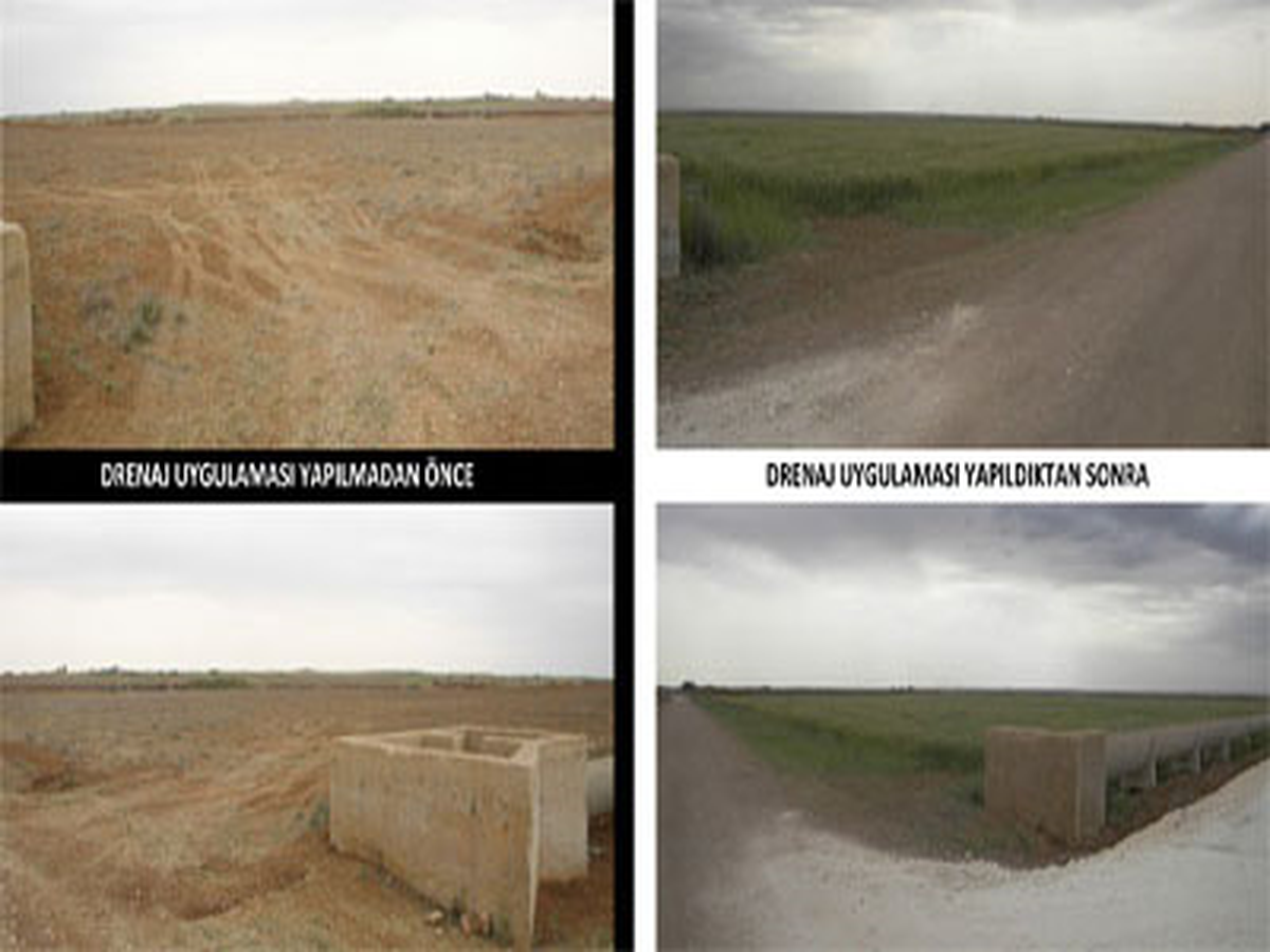 Türkiye\'yi Çölleşmeden Kurtaracak Projeler Hayata Geçiriliyor