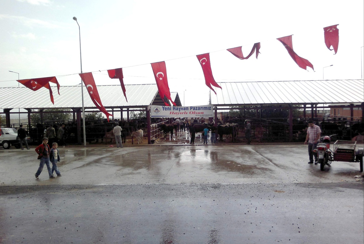 Adıyaman\'da Yeni Hayvan Pazarı Hizmete Girdi