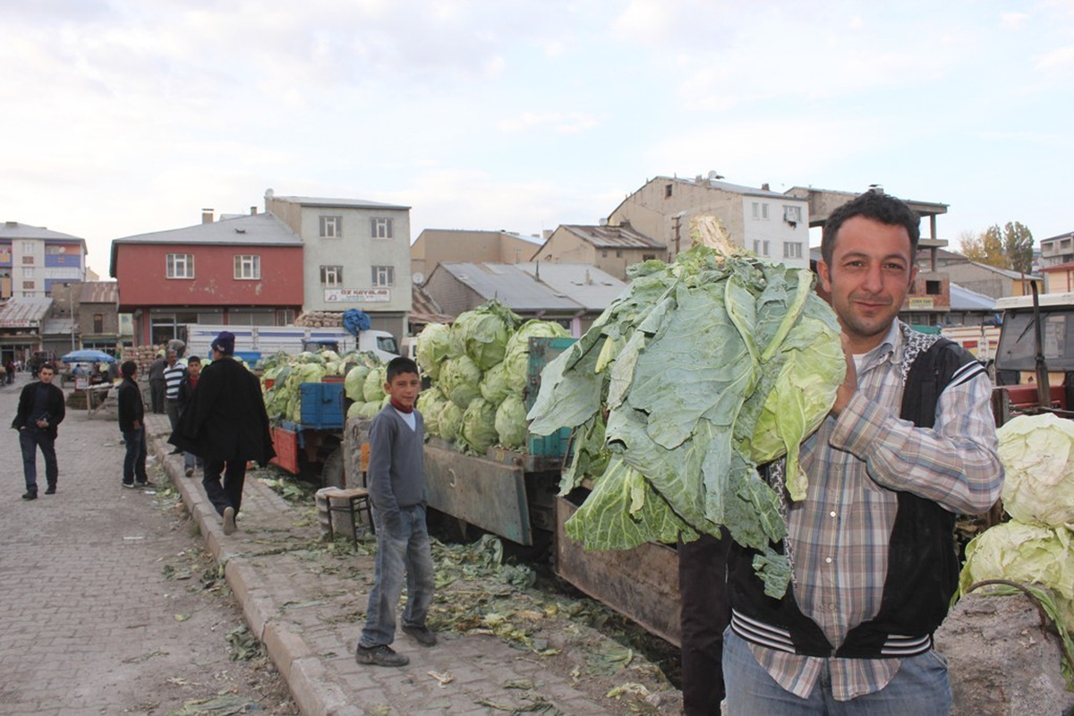 Ağrı Lahanası Tezgahlardaki Yerini Aldı