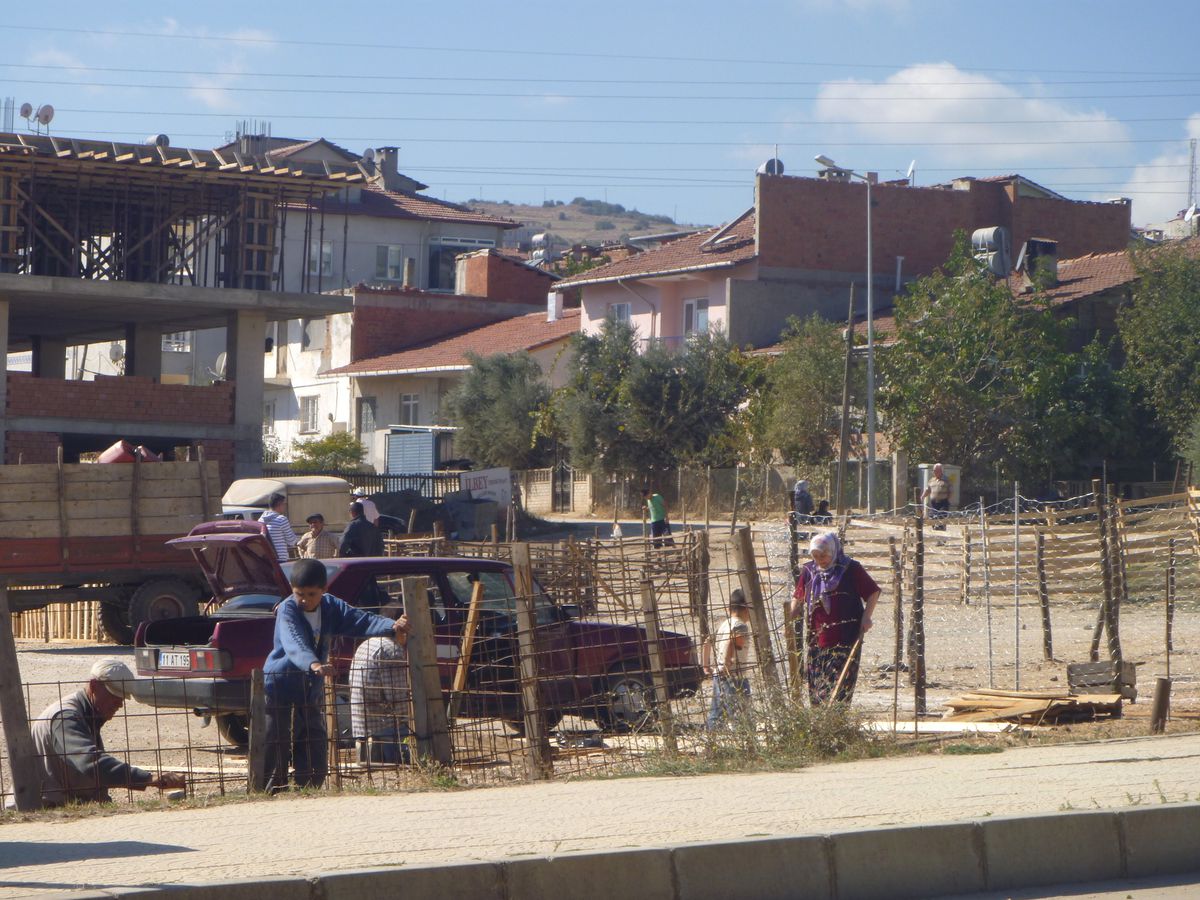 Bilecik Kurban Pazarı Hazır