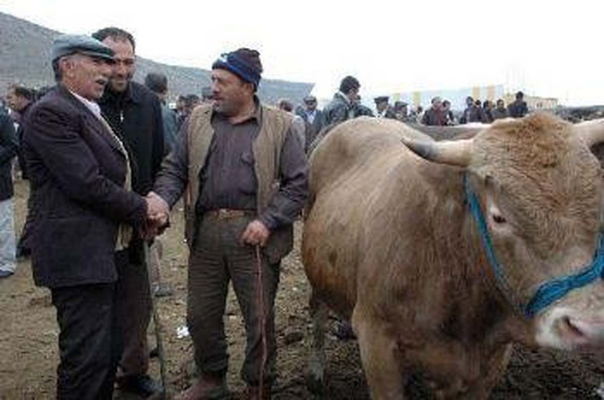Bünyan\'da Kurban Bayramı Önlemleri Alındı