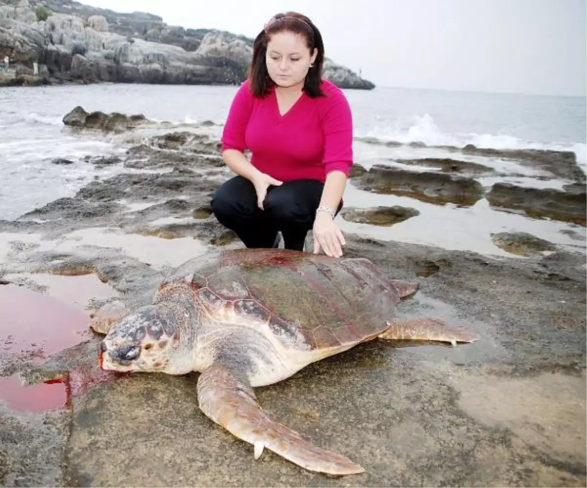 Bunu Yapan İnsan Olamaz!