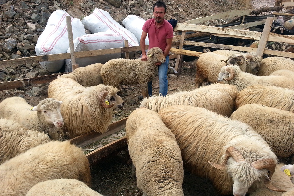 Gümüşhane Kurban Pazarında Satıcı Çok, Alıcı Yok